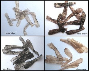 Ailes de sedge brun clair