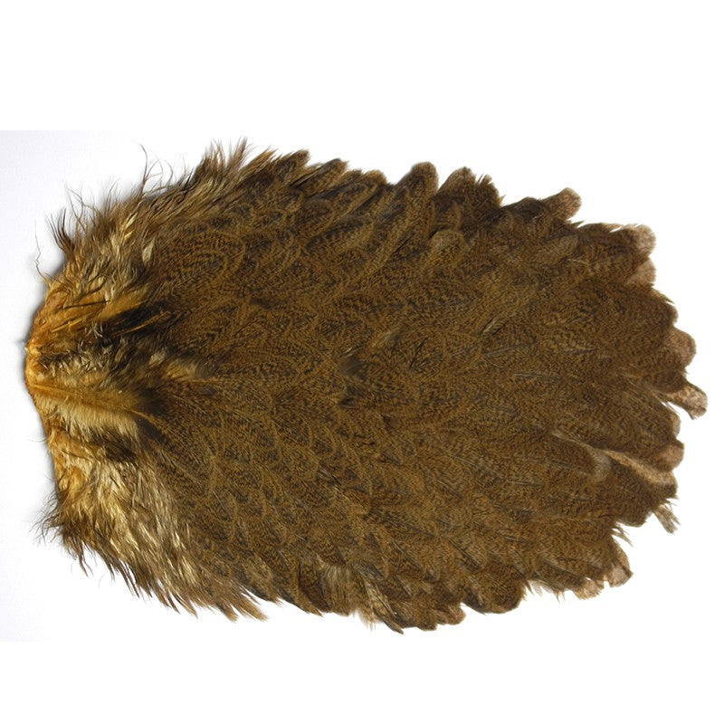 cou Whiting Brahma march brown