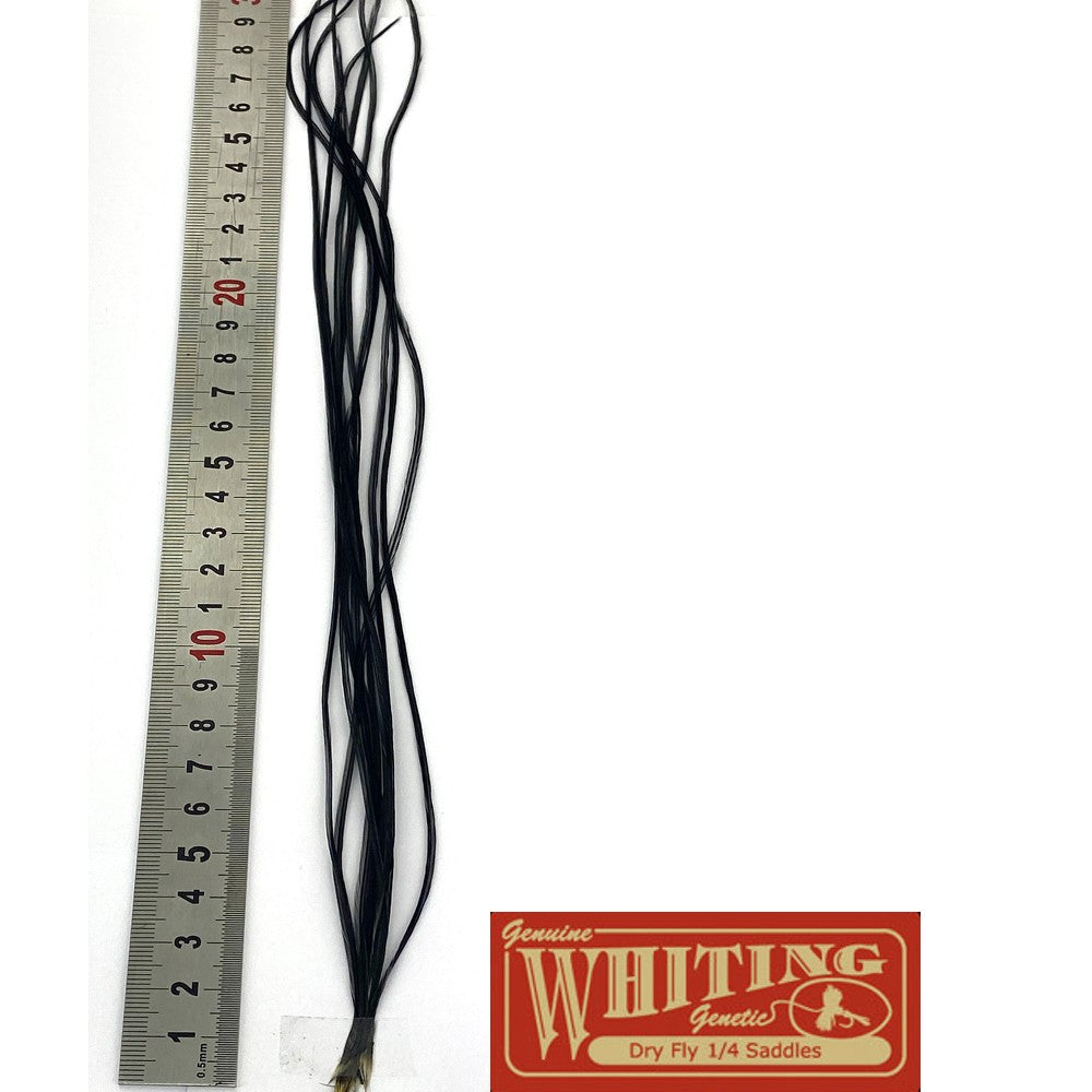 Lancette Whiting 100'S NOIRE