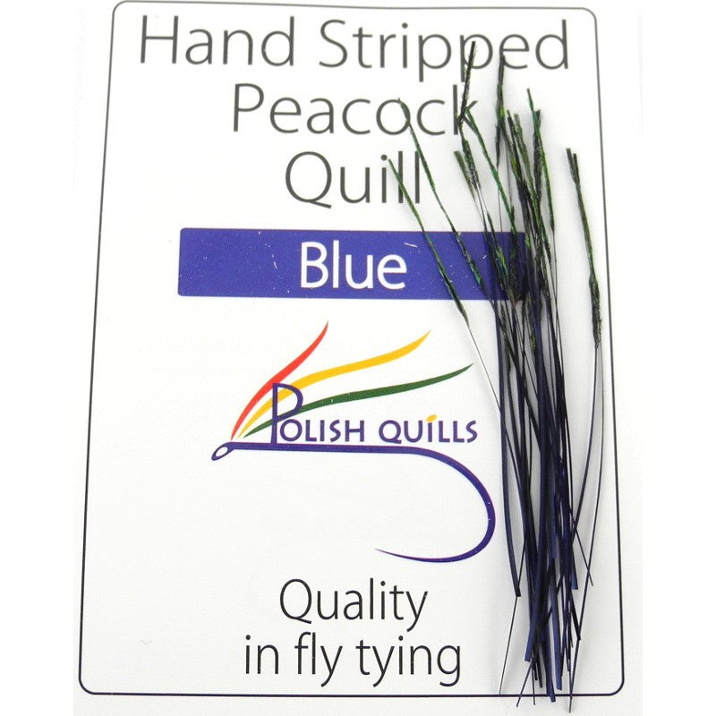 Quill de paon ébarbé Polish quill