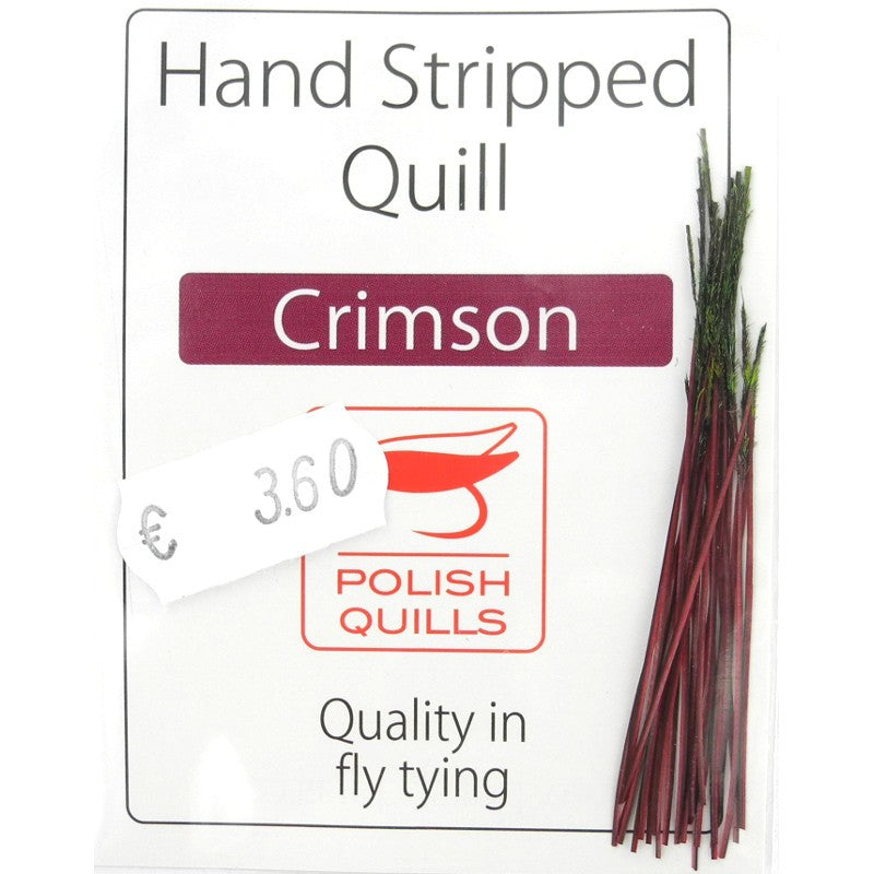 Quill de paon ébarbé Polish quill