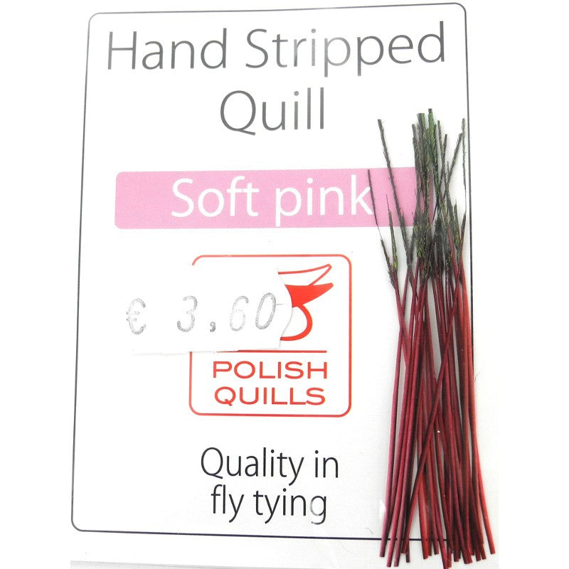 Quill de paon ébarbé Polish quill