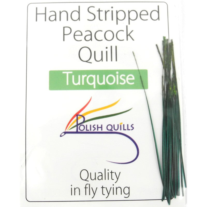 Quill de paon ébarbé Polish quill