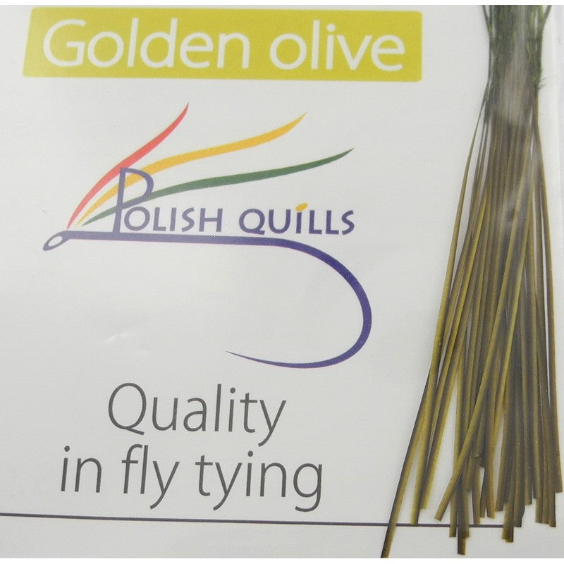 Quill de paon ébarbé Polish quill