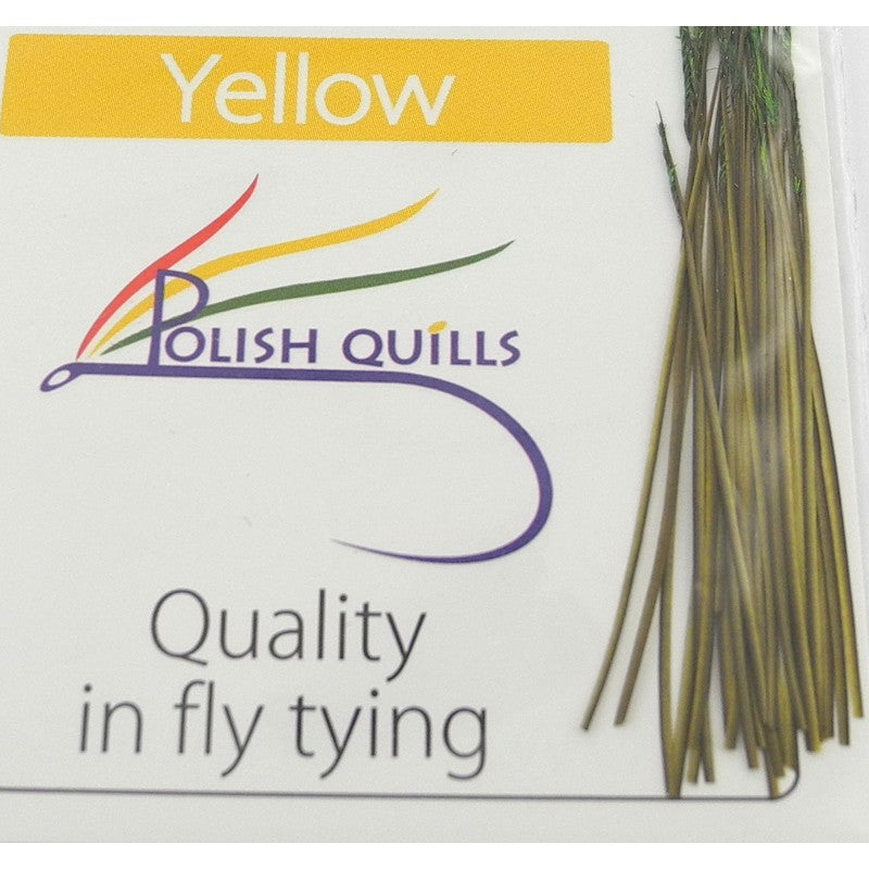 Quill de paon ébarbé Polish quill