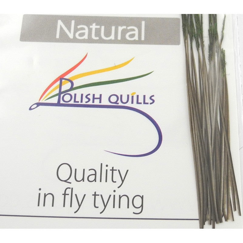 Quill de paon ébarbé Polish quill