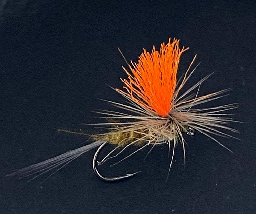 La para olive toupet orange