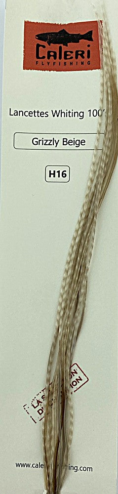 Lancettes Whiting 100'S Grizzly Beige