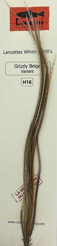 Lancette Whiting 100'S Grizzly beige variant