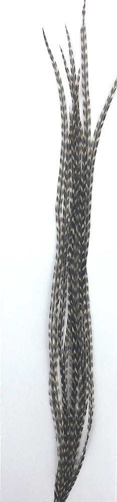 Lancettes Whiting 100'S Grizzly