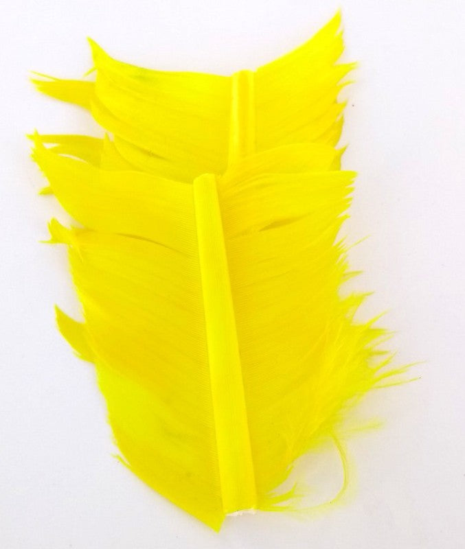 Plume Substitut de Condor