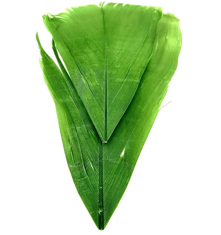 Plume Substitut de Condor