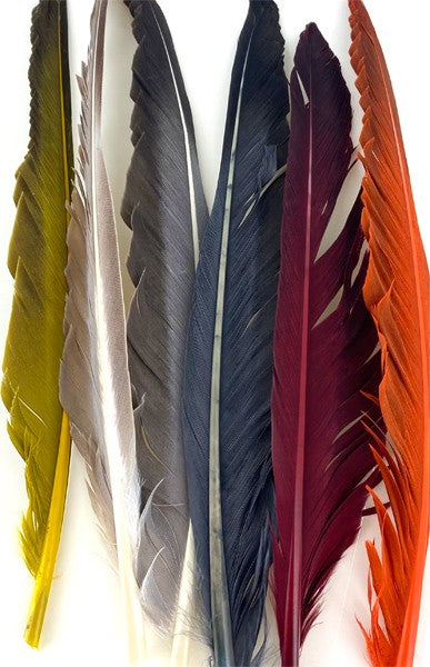 Plumes d'aile de dinde 2 en 1