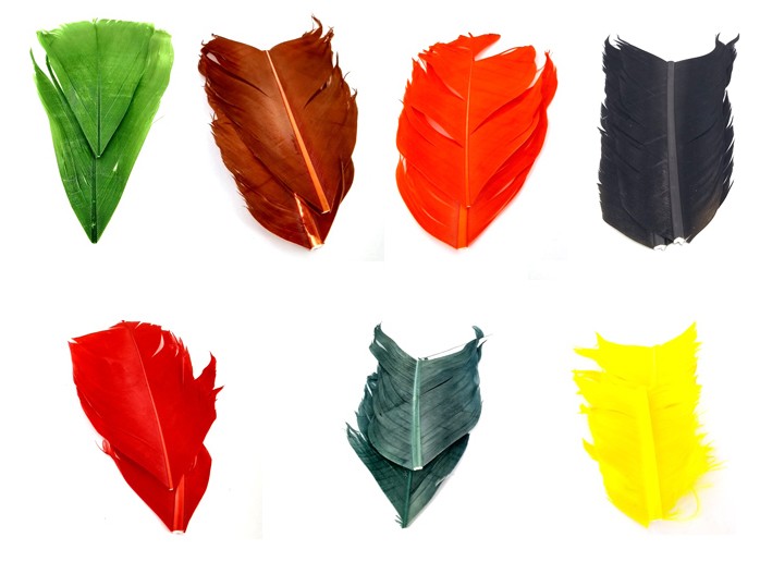 Plume Substitut de Condor