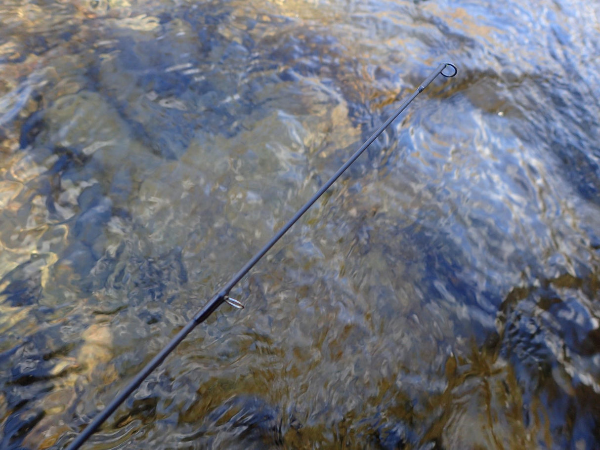 Scion cannes Maxia SX