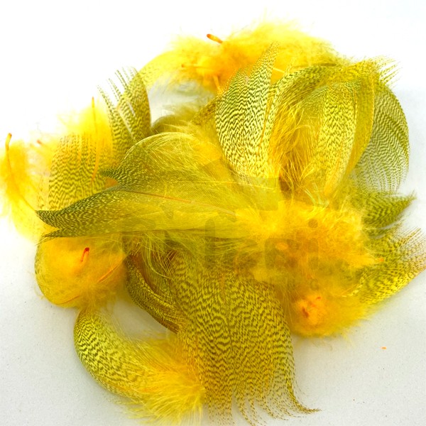 Flanc de Canard Sunburst Yellow