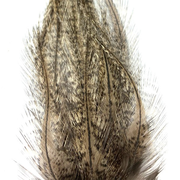 Plumes Lancettes Pardo SUPRÊME