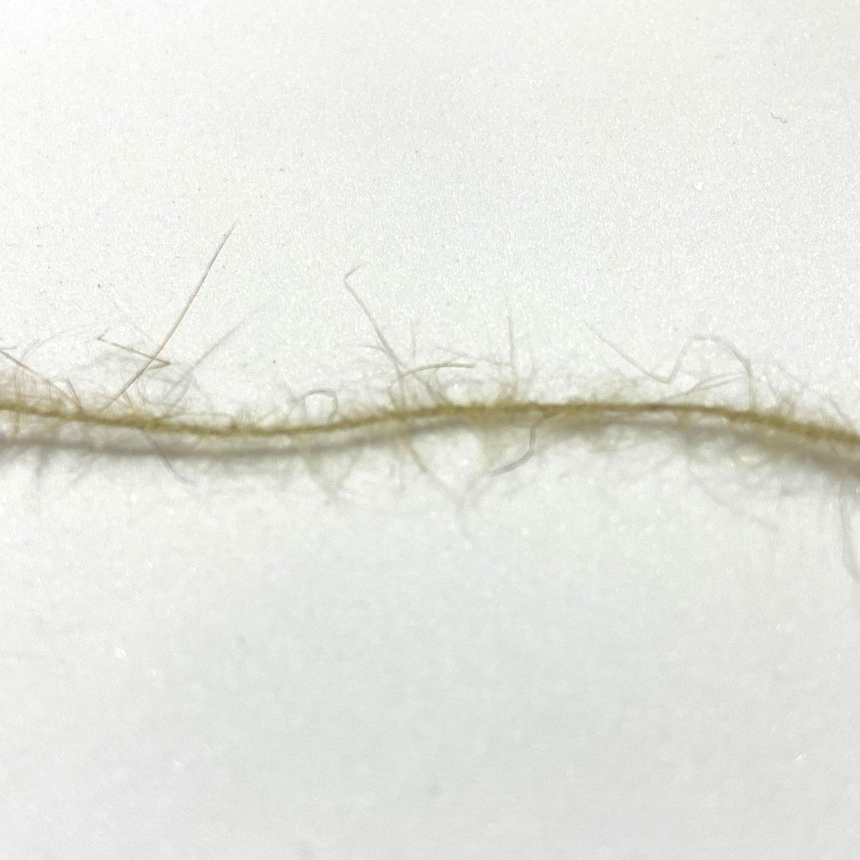 Dubbing Brushes de Lièvre Hends