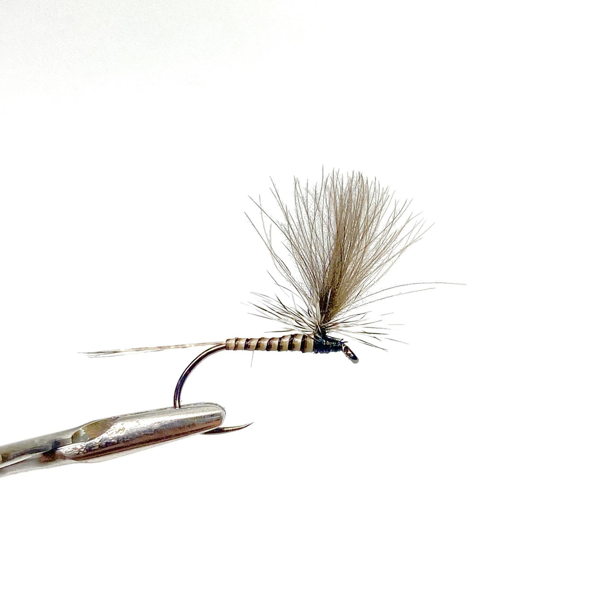 Parachute CDC Naturel