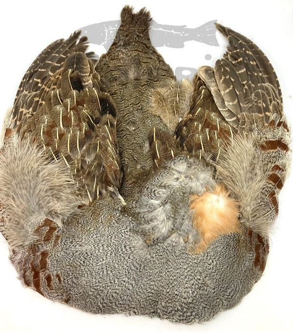 Peau Complète de Pedrix HENDS