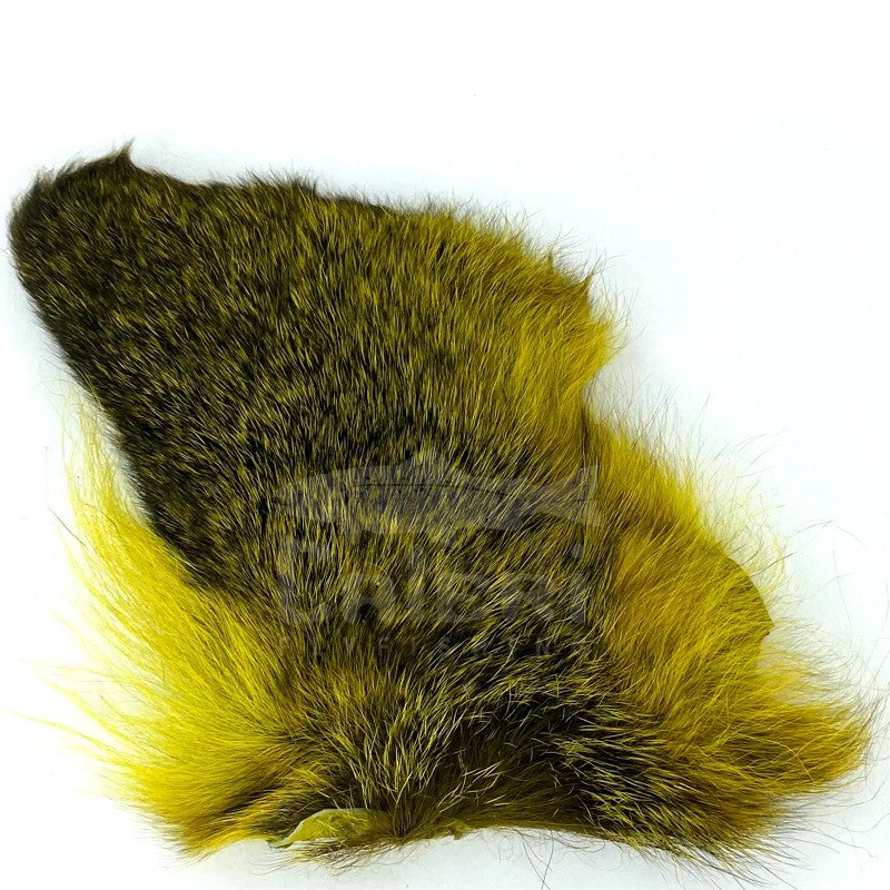 Oreille de Chevreuil