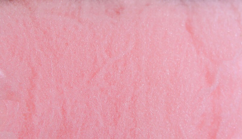 Egg Yarn imitations d'oeuf et toupets de parachutes.