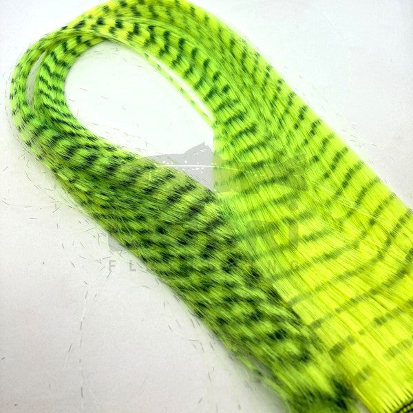 Grizzly Hair VENIARD