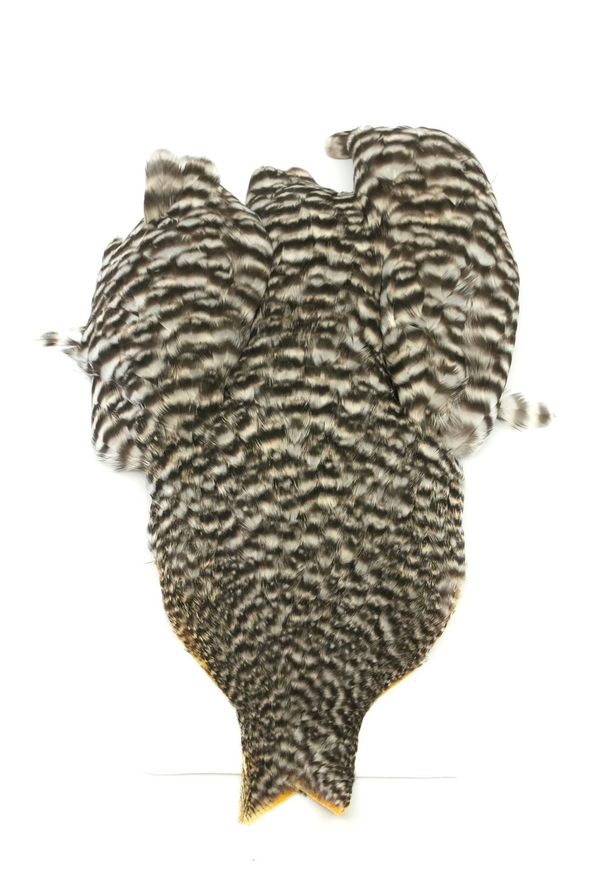 Cou de Poule Whiting 4 B's Hen Cape