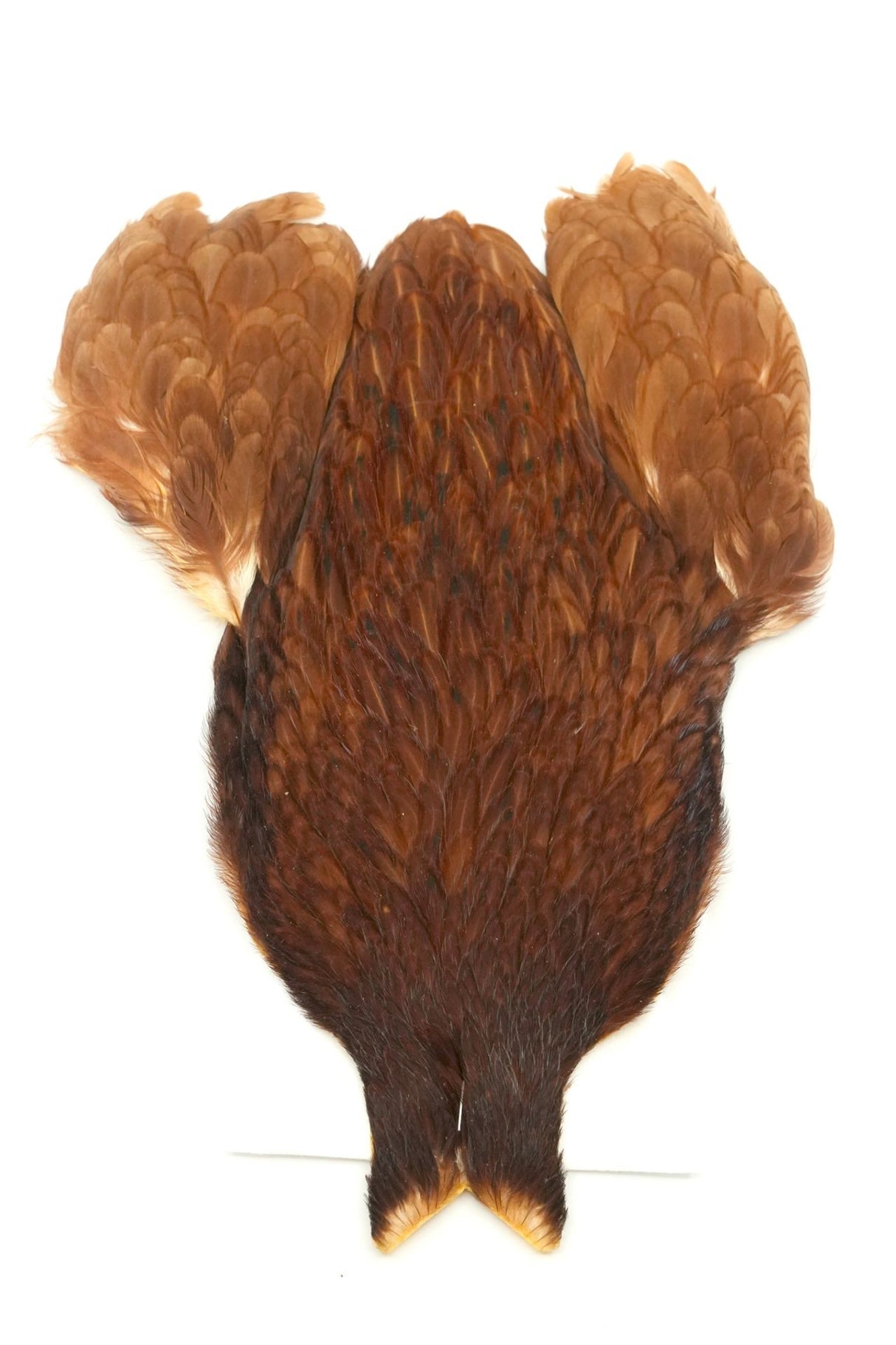 Cou de Poule Whiting 4 B's Hen Cape