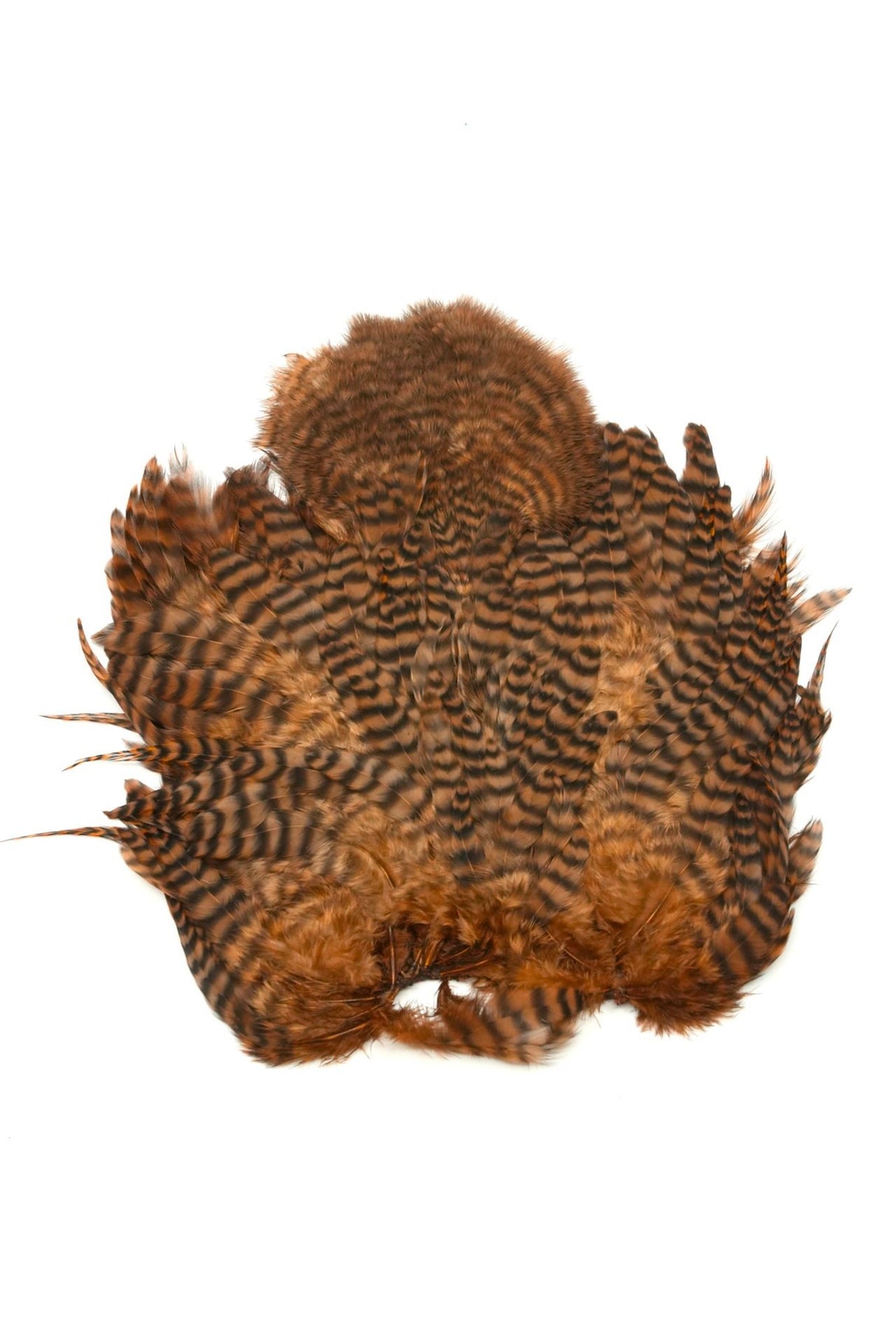 Selle de Coq Soft Hackle Whiting - Rooster Saddle