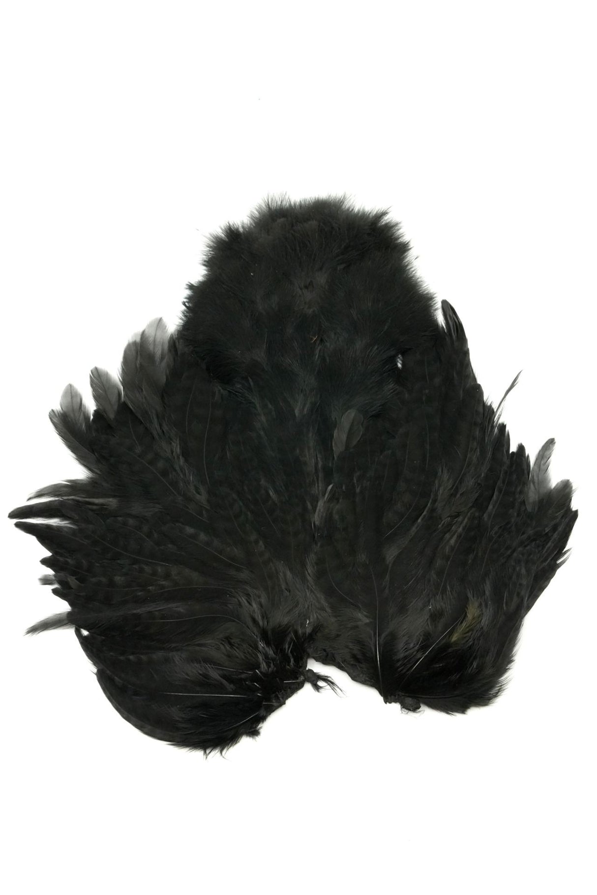 Whiting - Rooster Saddle SH/C