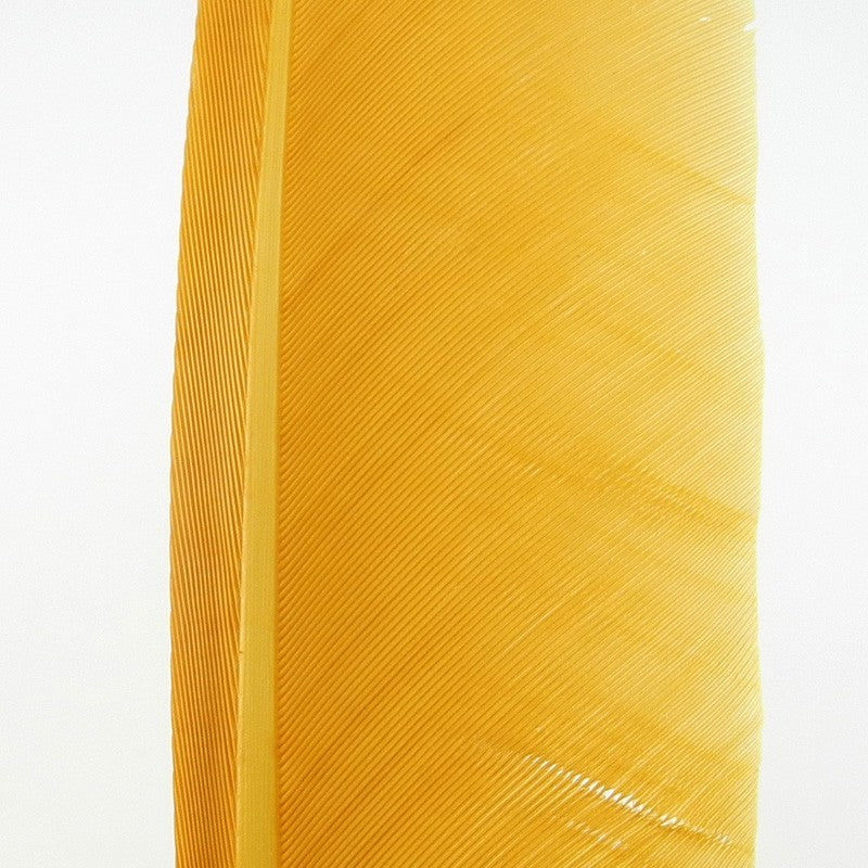 Plume de Dinde Hareline