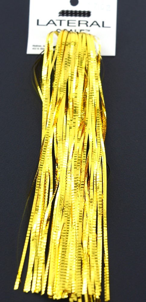 Lateral Scale Hedron