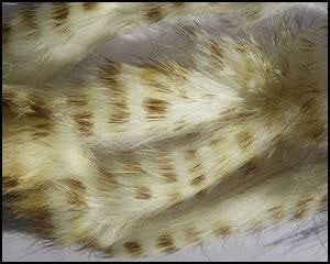 Bandelettes lapin zébrées HARELINE