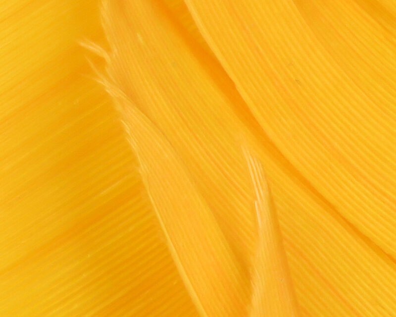 Plume de Dinde Hareline