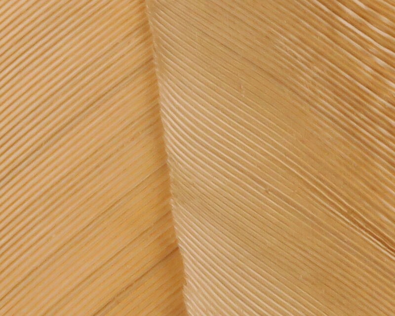 Plume de Dinde Hareline