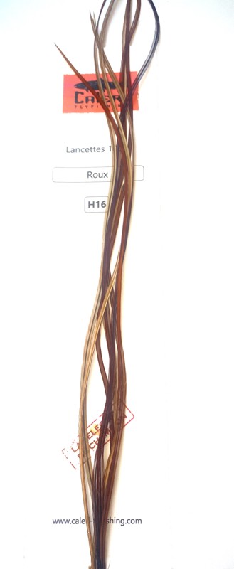 Lancettes 100'S Roux