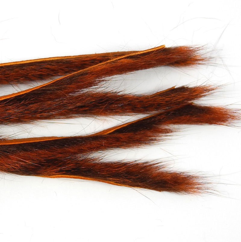 Micro bandelettes d'écureuil CALERI