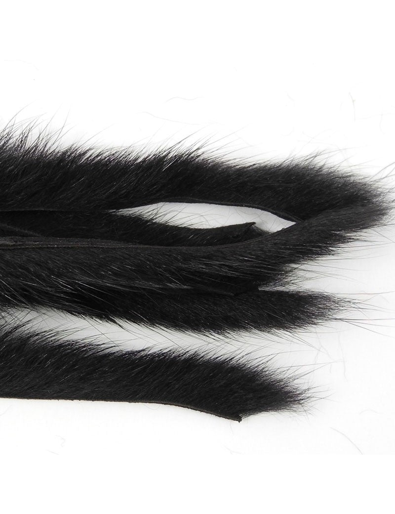 Micro bandelettes d'écureuil CALERI