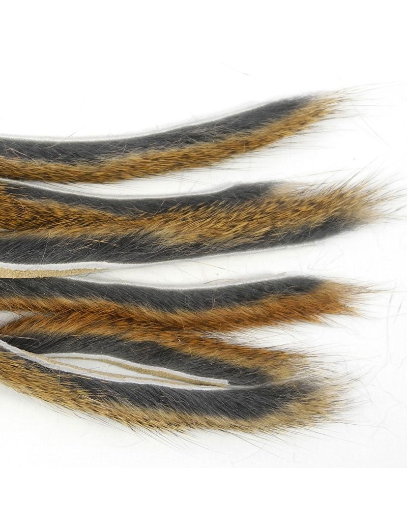 Micro bandelettes d'écureuil CALERI