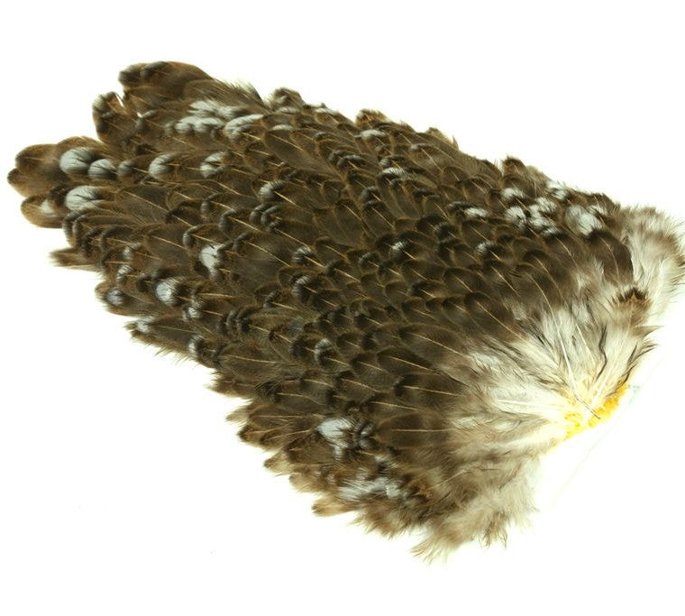 Selle de Poule Whiting 4 B's - Hen Saddle