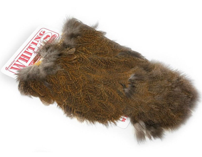 Coq De Leon Hen (poule) SH/C