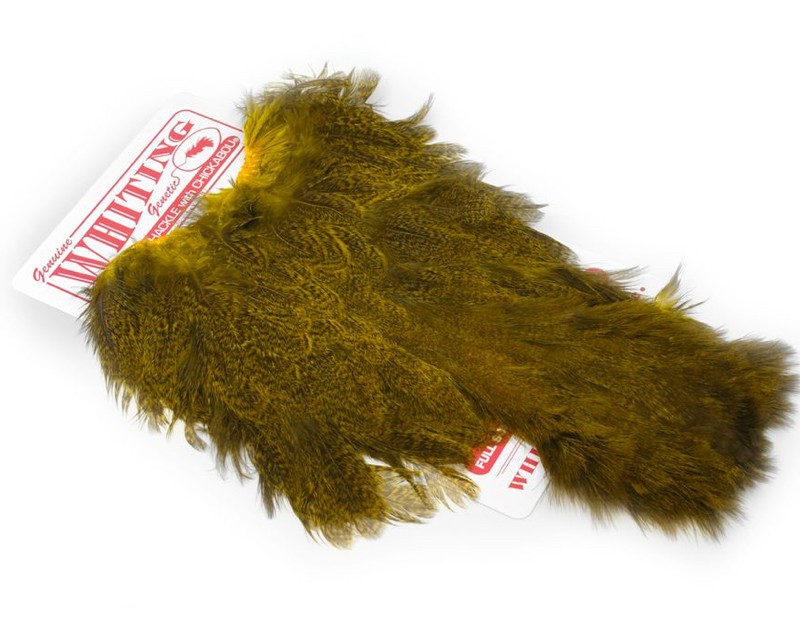 Coq De Leon Hen (poule) SH/C