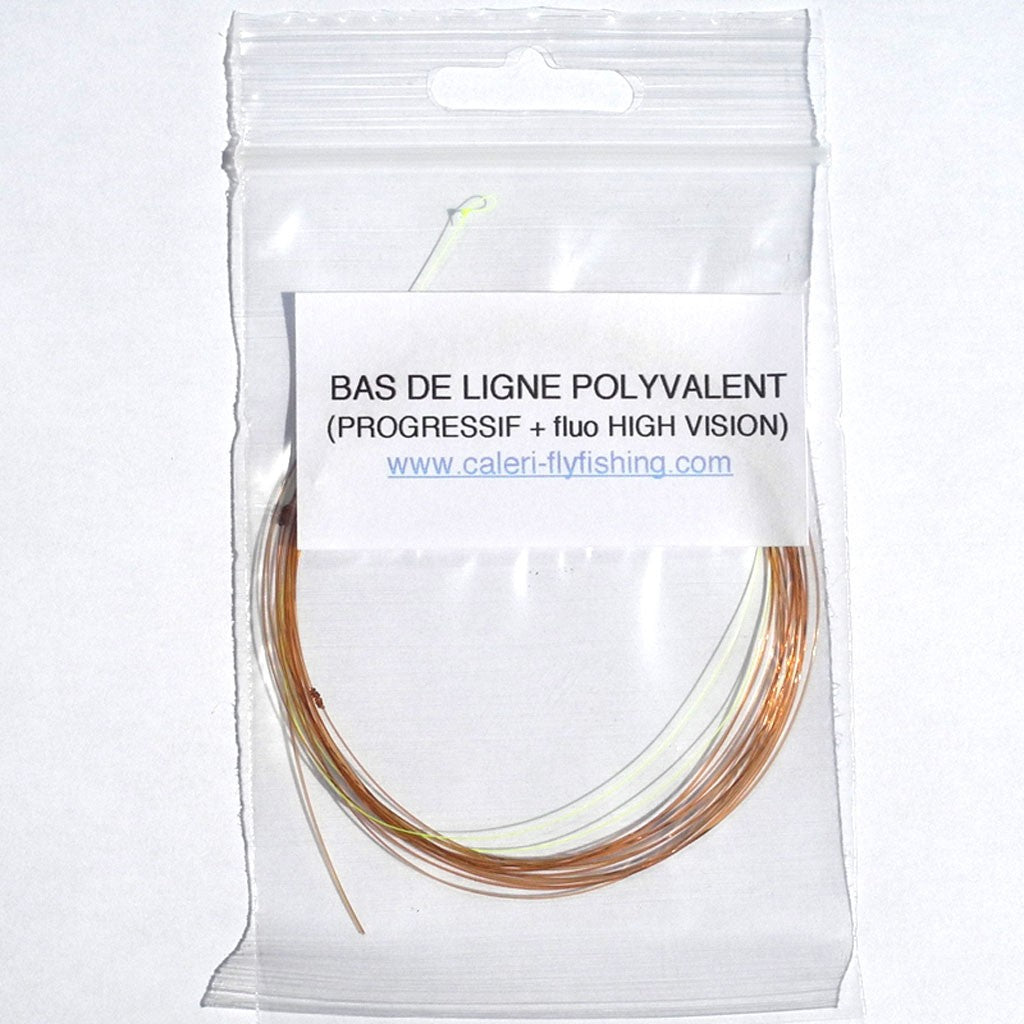 Bas de ligne polyvalent progressif