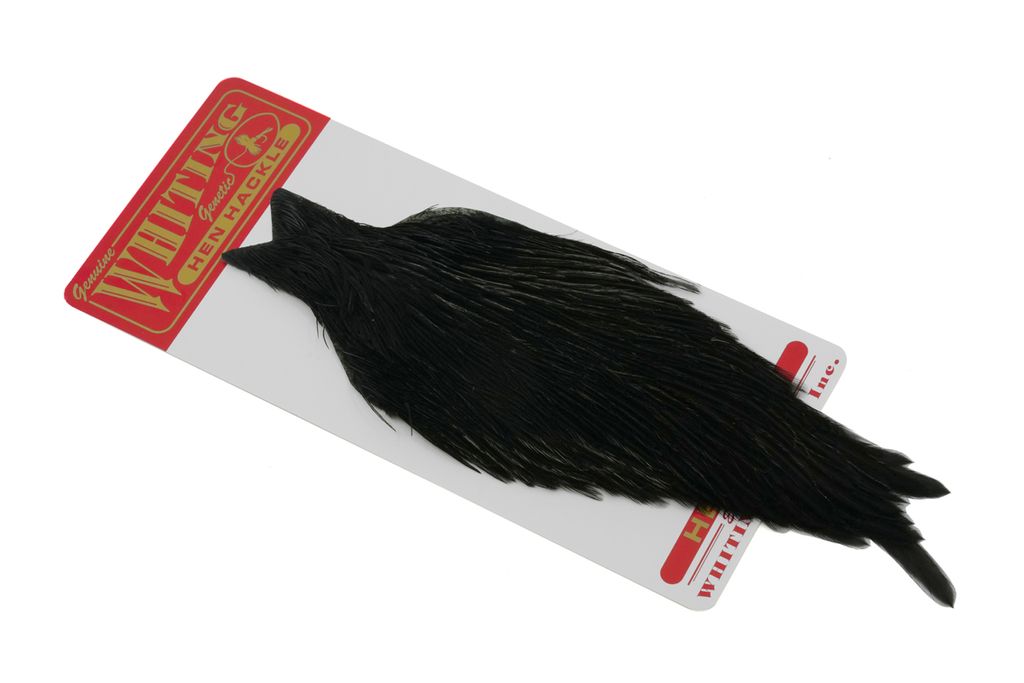 Cou de poule Whiting