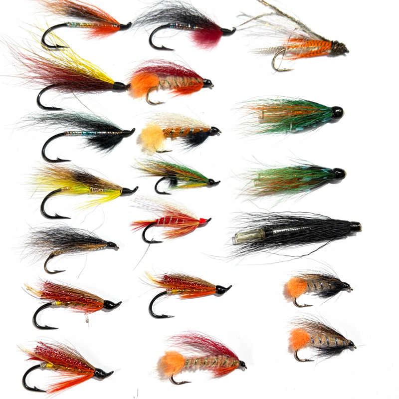 Lot 27 mouches Migrateur