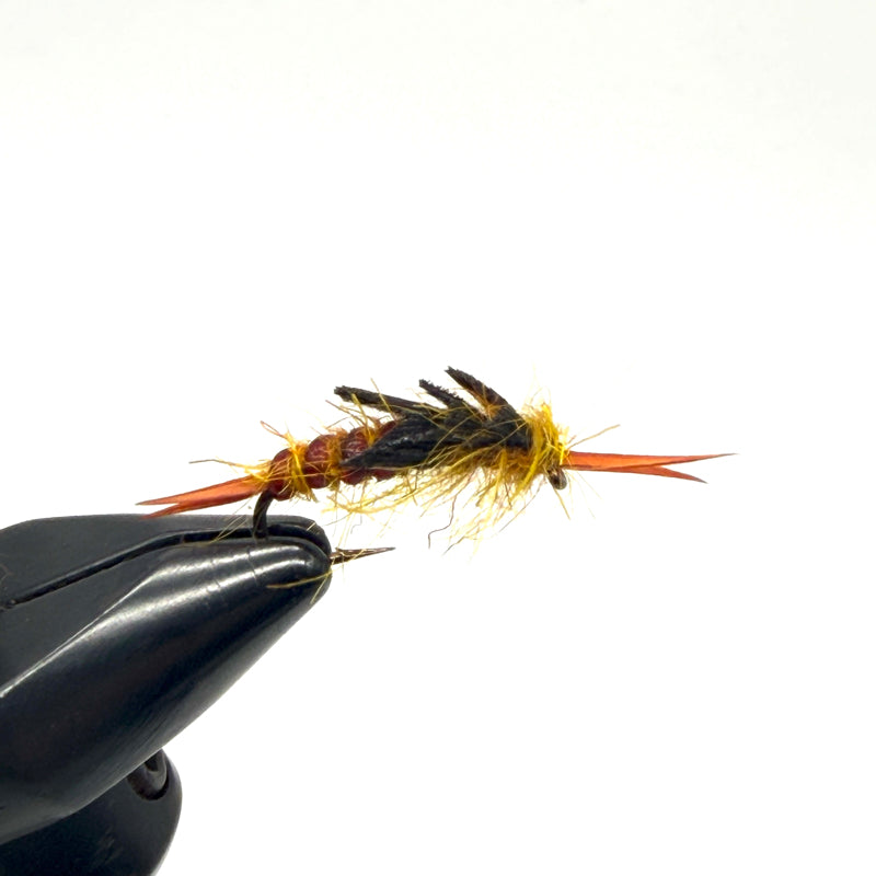 Nymphe Larve de Perle Golden poilue