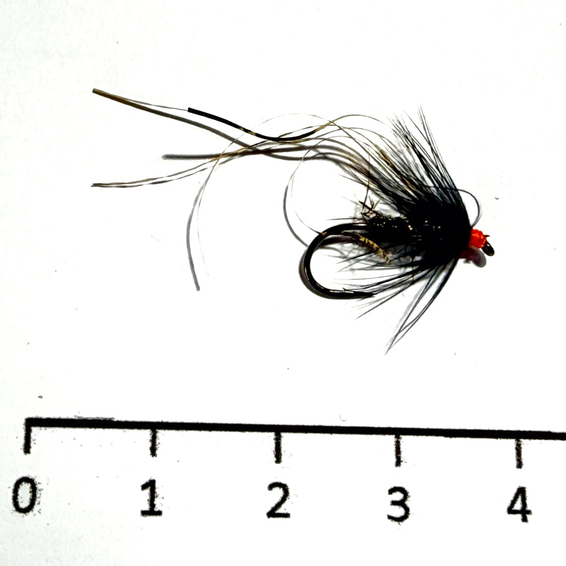 Noyée Noire Sparkler