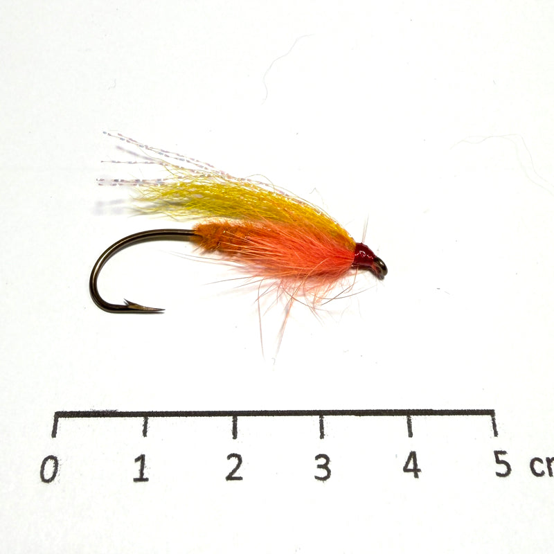 Noyées Orange Migrateurs