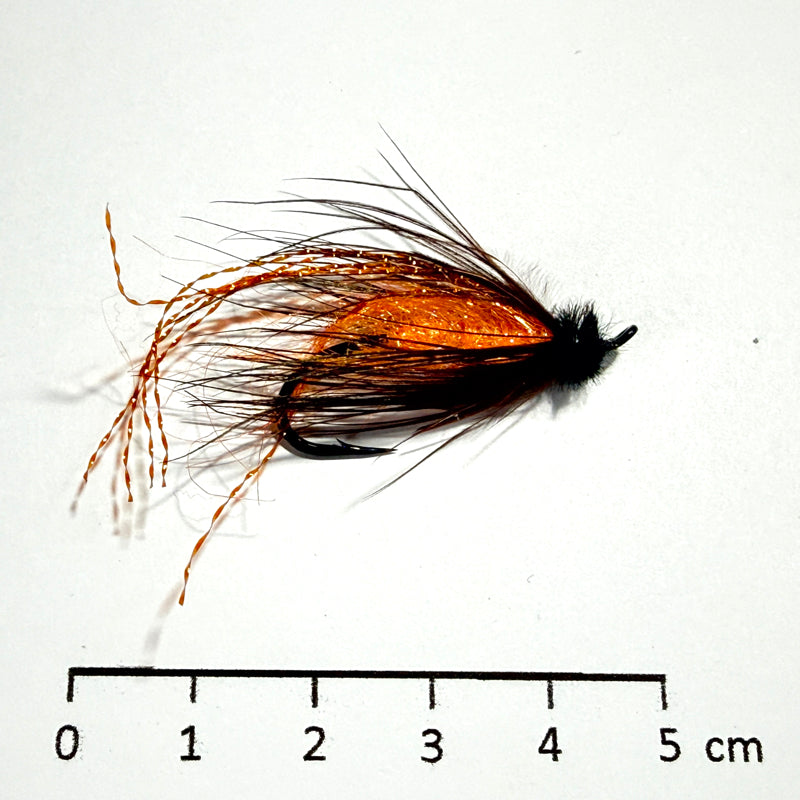 Noyées Volumineuses Migrateurs